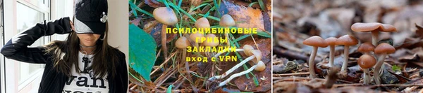 тгк Протвино