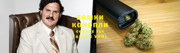 гашик Котовск