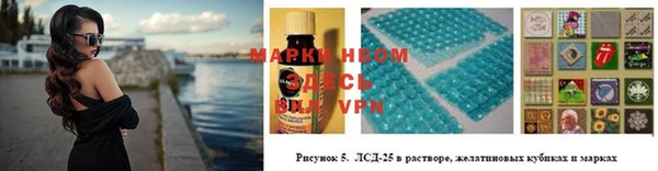 сатива Приозерск
