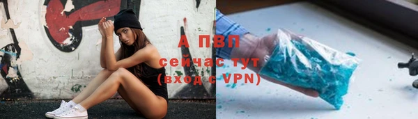 сатива Приозерск
