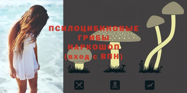 сатива Приозерск