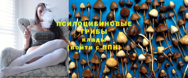 тгк Протвино