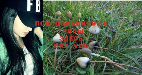 эйфоретик Красавино