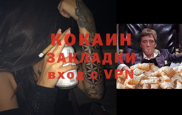 сатива Приозерск