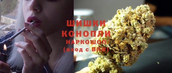 сатива Приозерск