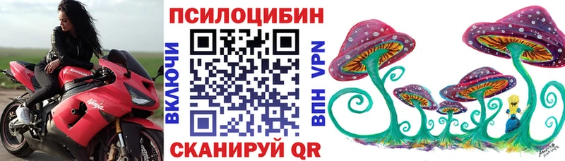 KRAKEN маркетплейс  Сковородино  Галлюциногенные грибы Psilocybine cubensis  цены наркотик 