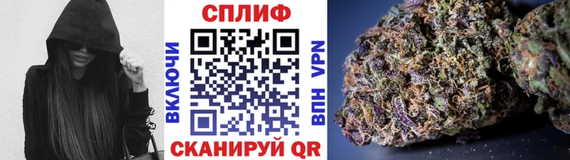 где купить наркотик  Сковородино  Канабис гибрид 